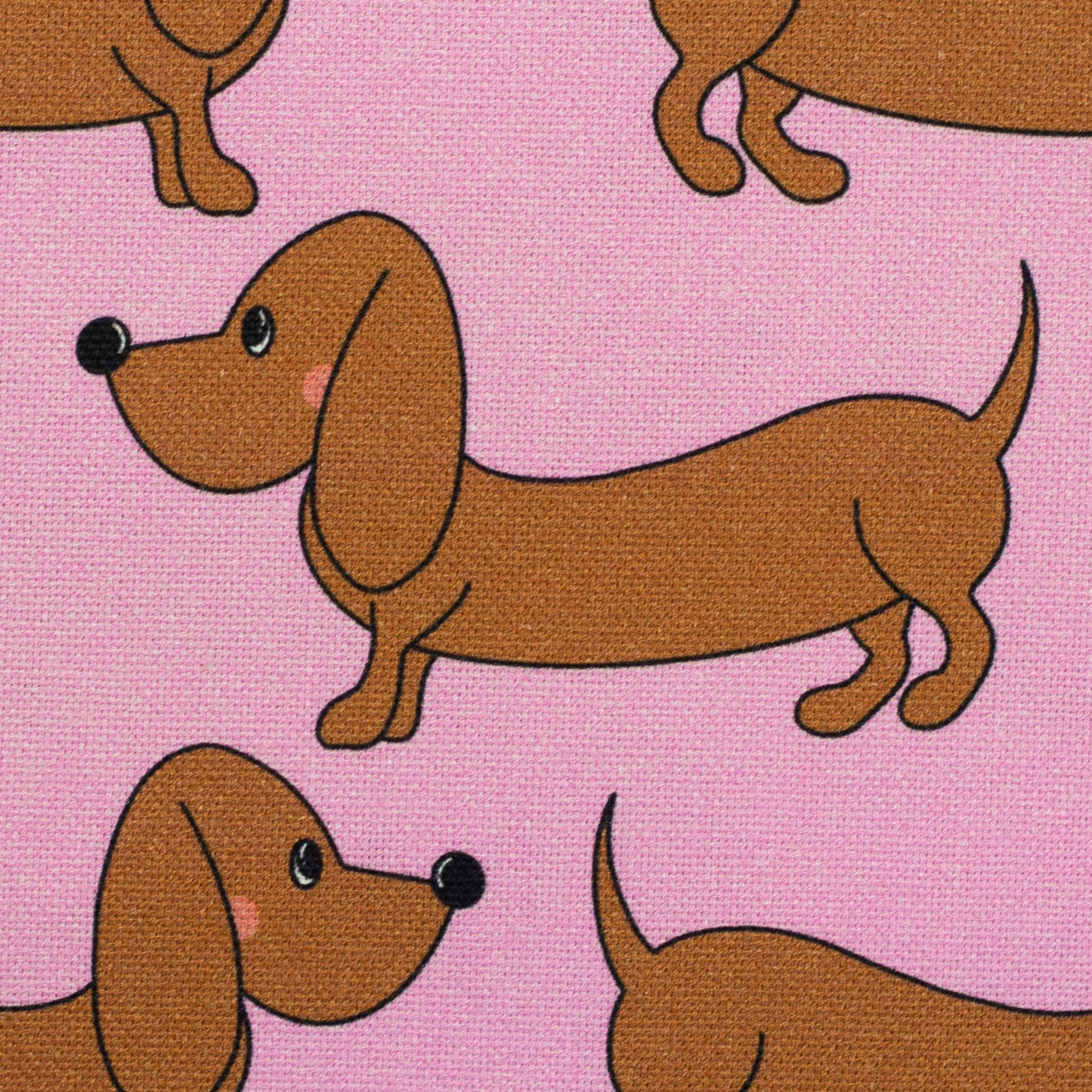 Canvas Dachshund - Roze