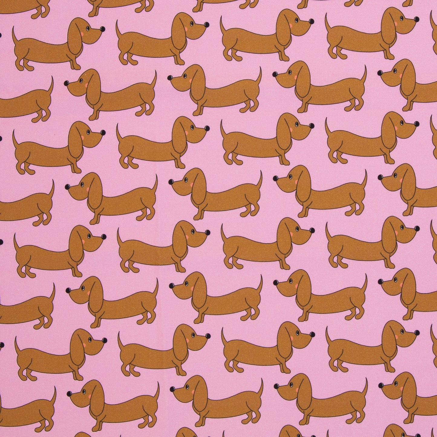 Canvas Dachshund - Roze